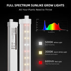 Spider-Farmer-GlowBar-20-Vollspektrum-Licht-Nahaufnahme-LED-Chips.