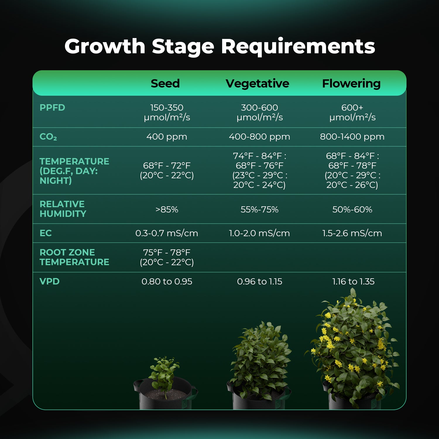Mars Hydro 3er-Set Smart soil sensors in dark green chart view, 3 in 1 moisture temperature and EC value