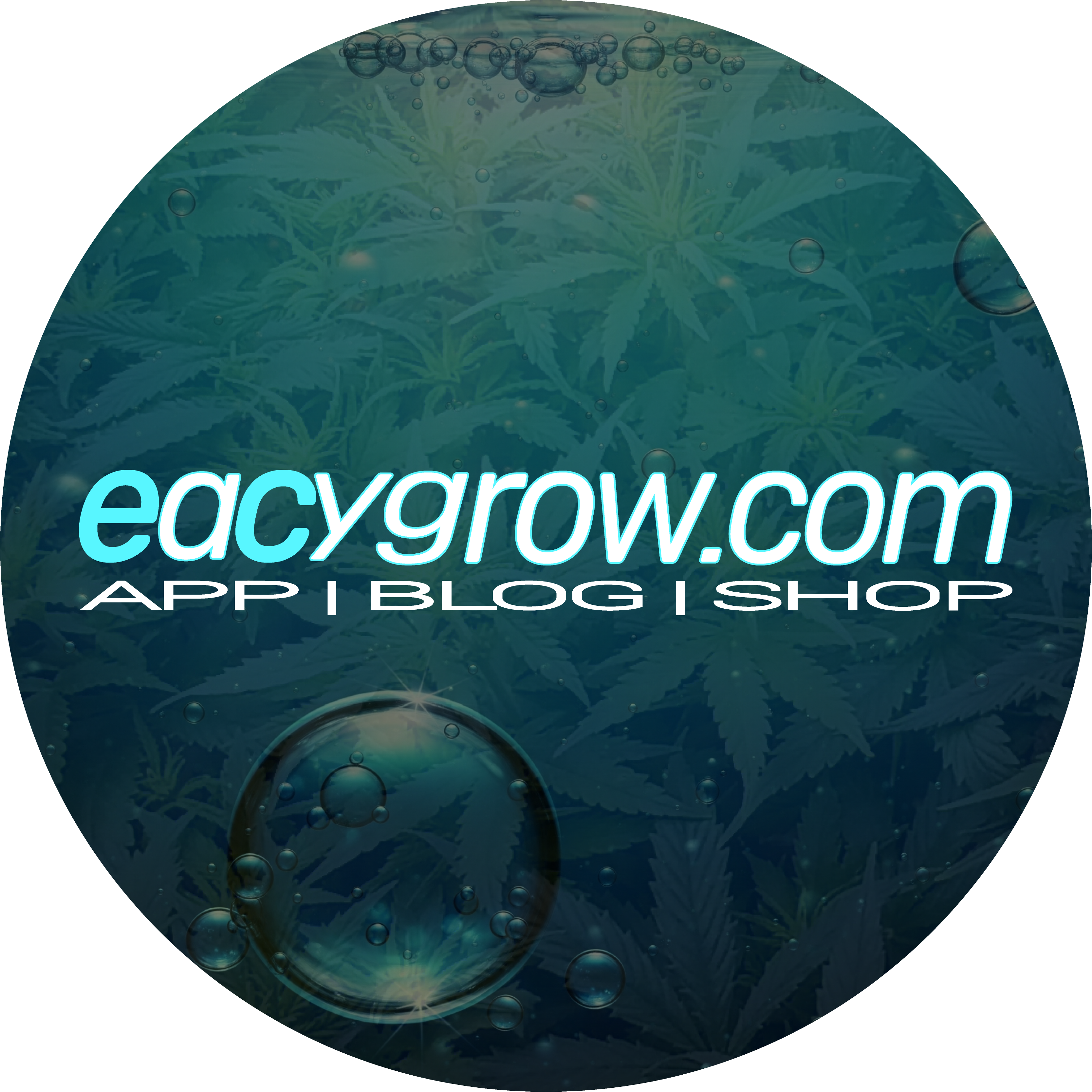 eacygrow | App - Blog - Shop