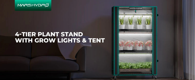 Mars Hydro Pflanzenstand | 4-Etagen - 150W LED