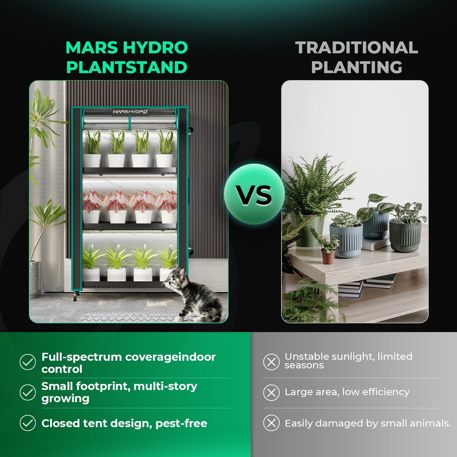 Vertikale Platzmaximierung durch das mehrstufige Mars Hydro LED-Pflanzenregal.