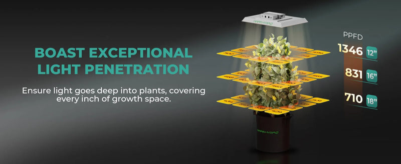Mars Hydro TS1000 Smart Complete Kit | 80x80x160cm Grow Tent