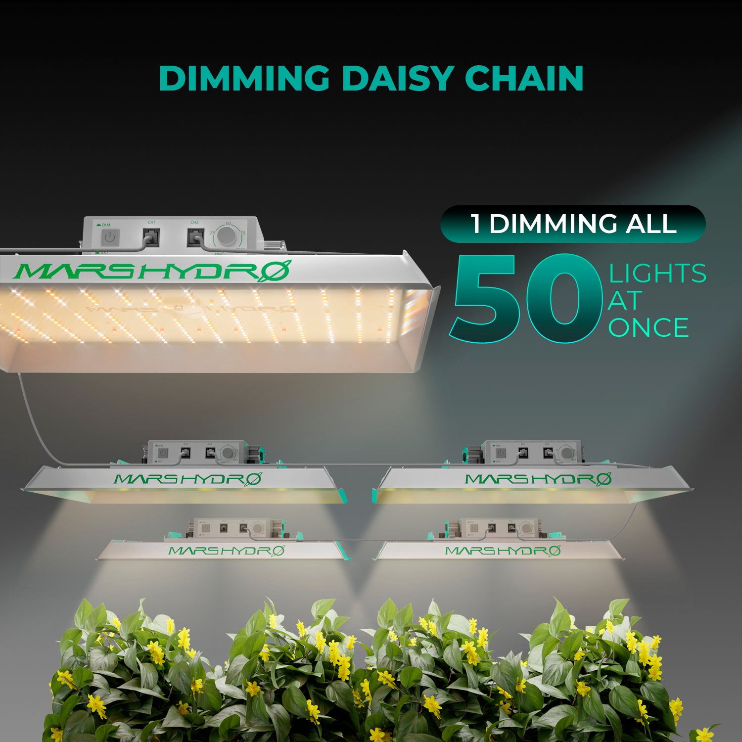 Daisy-Chain Anschluss zur Verbindung mehrerer Mars Hydro TS1000