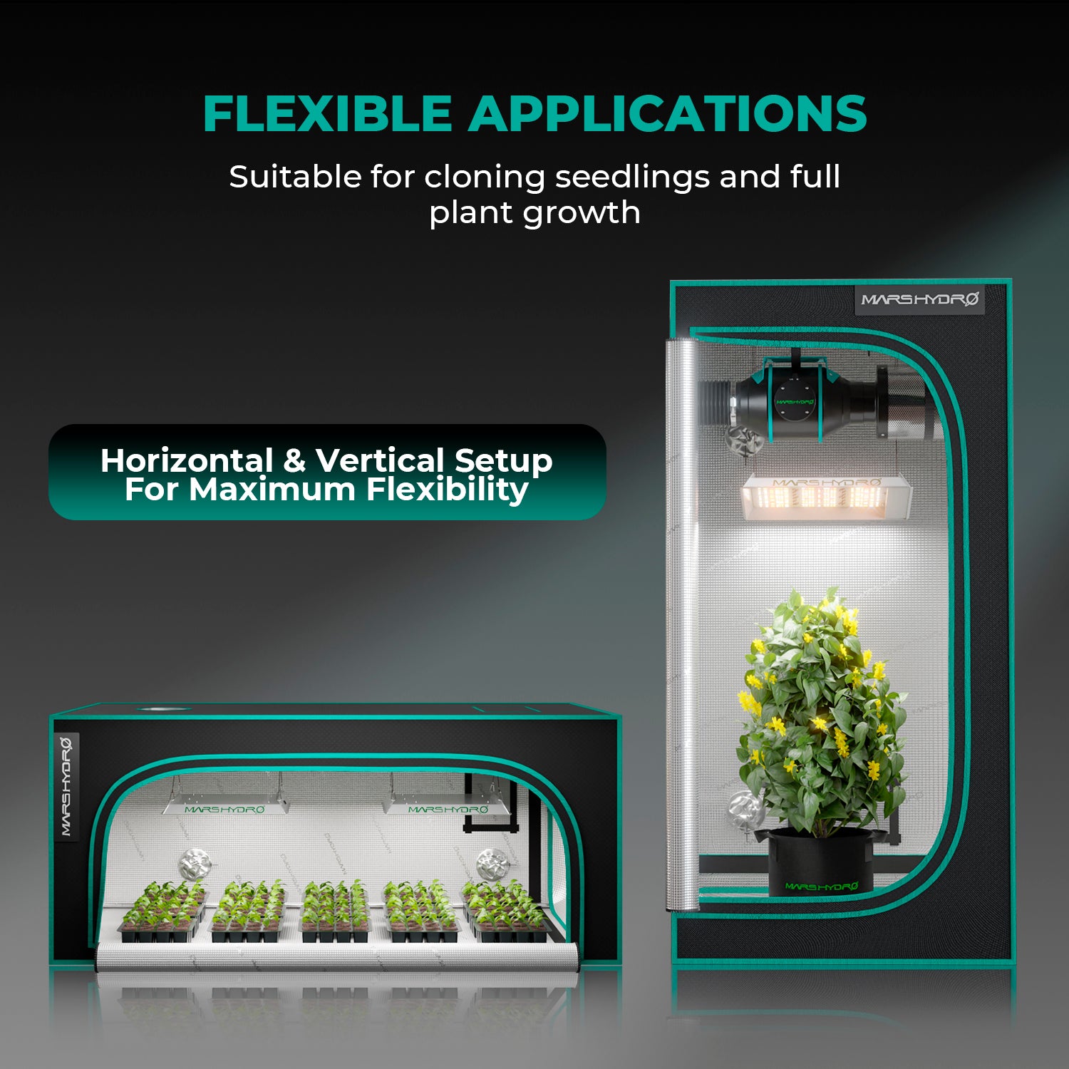 Mars Hydro TS600 Montagebeispiel in einer Grow Box