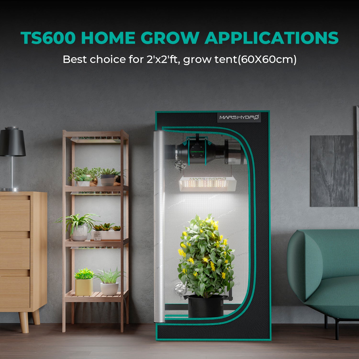 Mars Hydro TS600 hängende Montage im Growzelt 60x60 cm