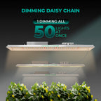 Daisy-Chain Verbindung an der Mars Hydro TSL 2000 zur Reihenschaltung