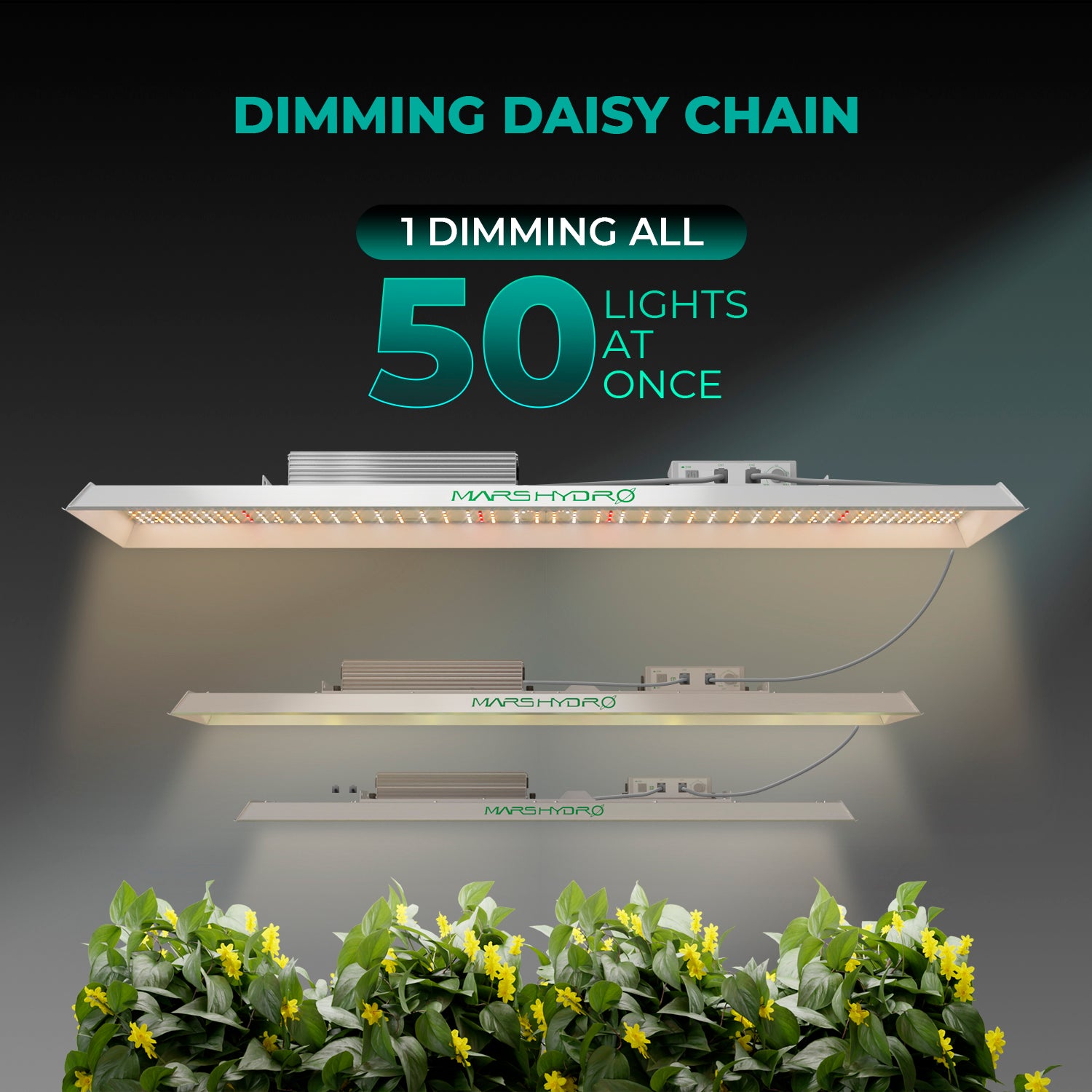 Daisy-Chain Verbindung an der Mars Hydro TSL 2000 zur Reihenschaltung