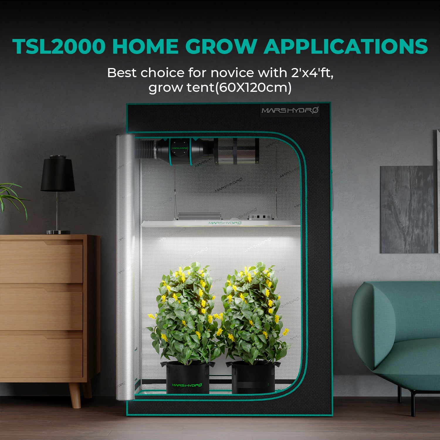 Lichtdichtes 1680D Oxford Growzelt 120x60x180cm für schmale Standorte.