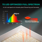 Mars Hydro TSL 2000 Spektraldiagramm für Wachstum und Blütephase