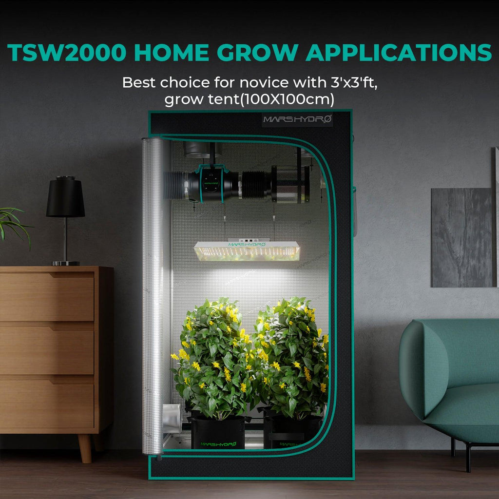 Mars Hydro TSW2000 complete set with LED lighting in a 120x120x200cm grow tent — ideal for home gardening with vibrant plants.