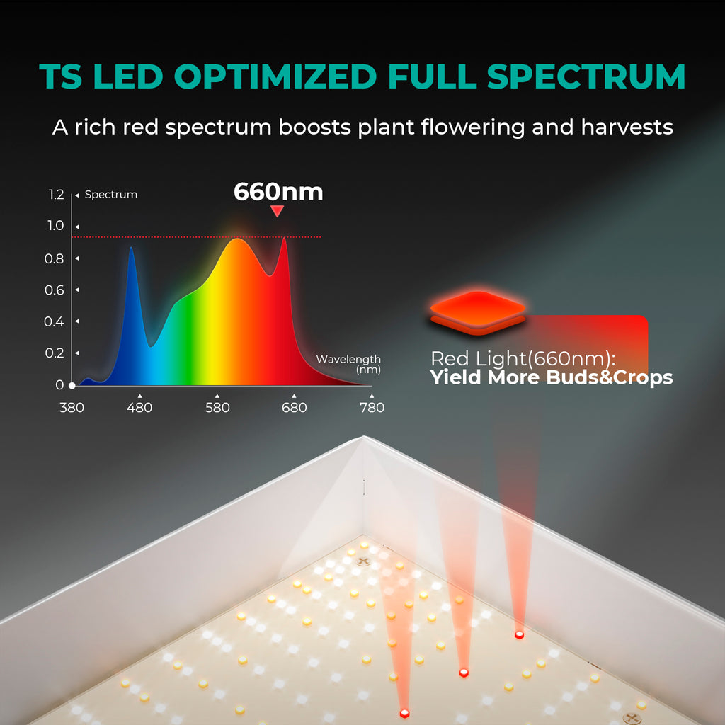 Mars Hydro TSW2000 complete set featuring a full-spectrum LED light with a rich red spectrum for enhanced plant growth