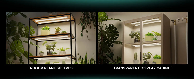 Indoor plant shelves and a transparent display cabinet holding potted plants, shown side by side in a room