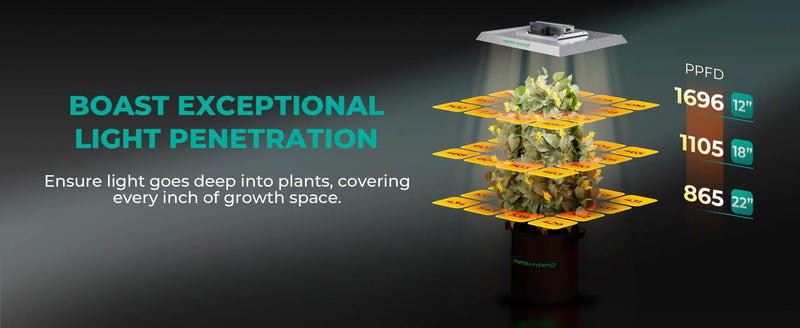 Mars Hydro TSW2000-B Smart Complete Kit | 100x100x180cm Grow Tent