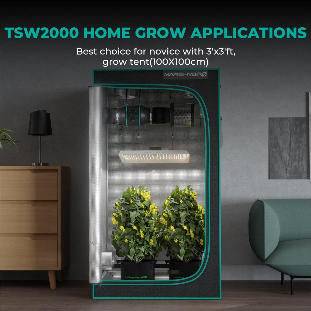 Mars Hydro TSW 2000 hängend im 100x100 cm Growzelt installiert