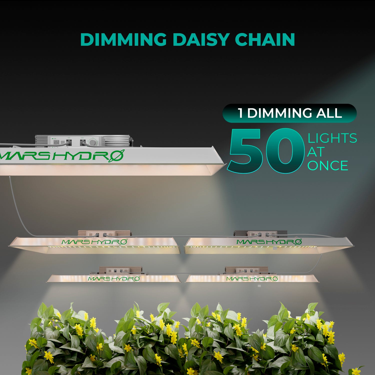 Daisy-Chain Verbindung zur Steuerung mehrerer Mars Hydro TS 3000