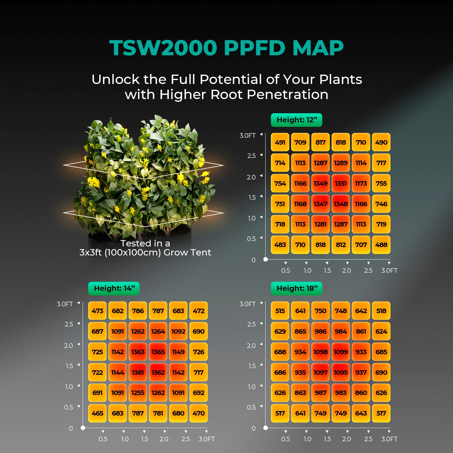 Mars Hydro grow tent set with iControl controller, 100 x 100 x 180 cm setup shown in a height comparison graphic