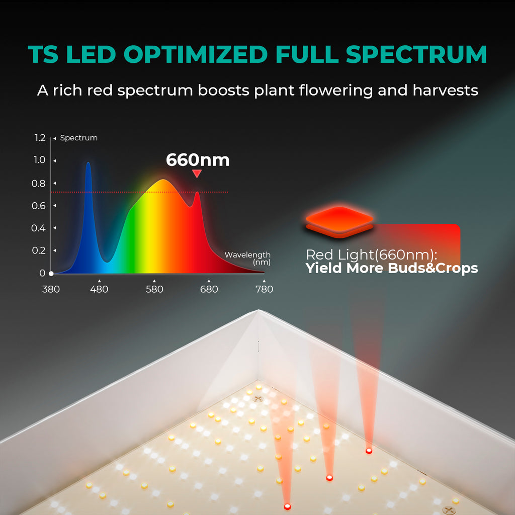 Spektraldiagramm der Mars Hydro TS1000 für gesundes Pflanzenwachstum
