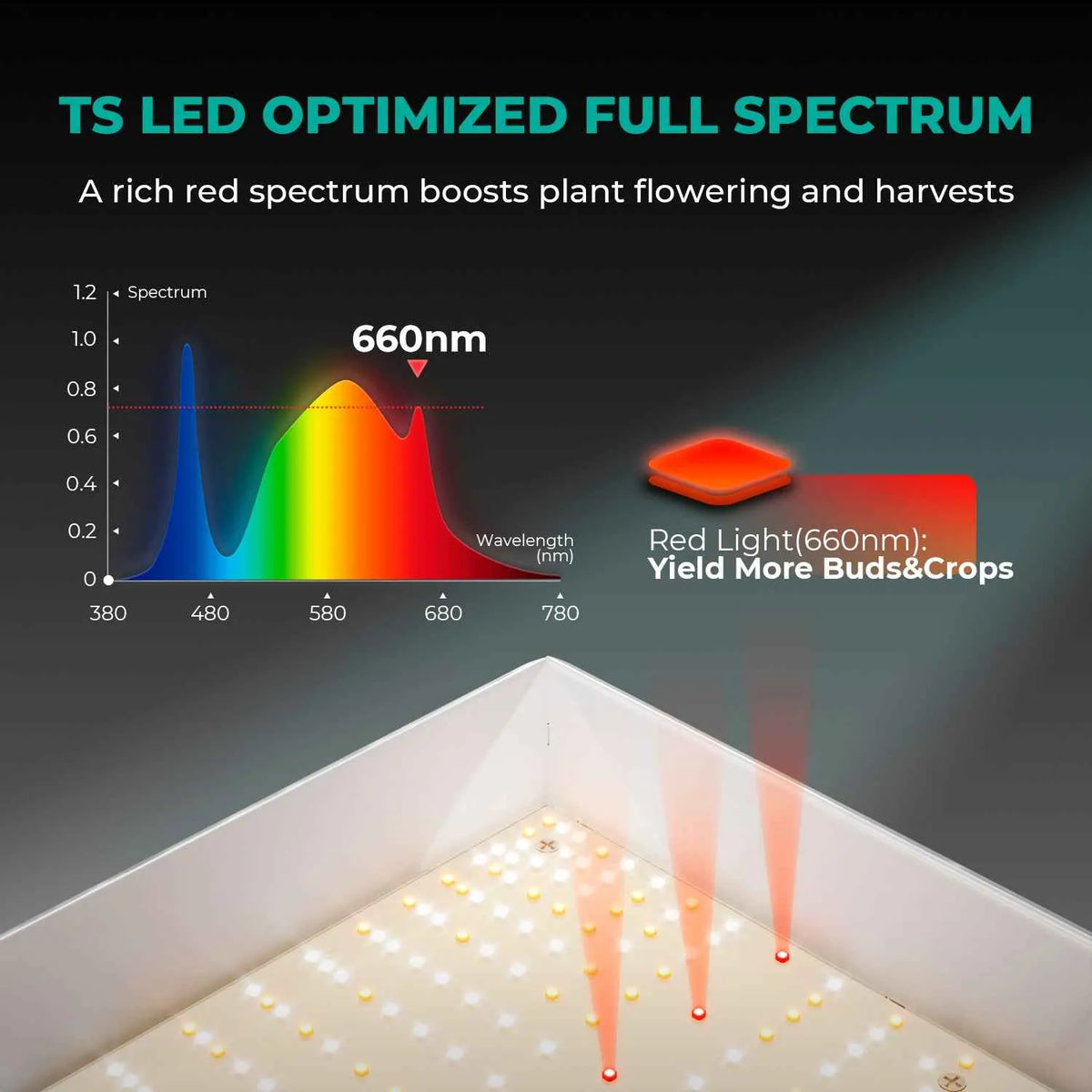 Mars Hydro TS-1000 LED | 150W