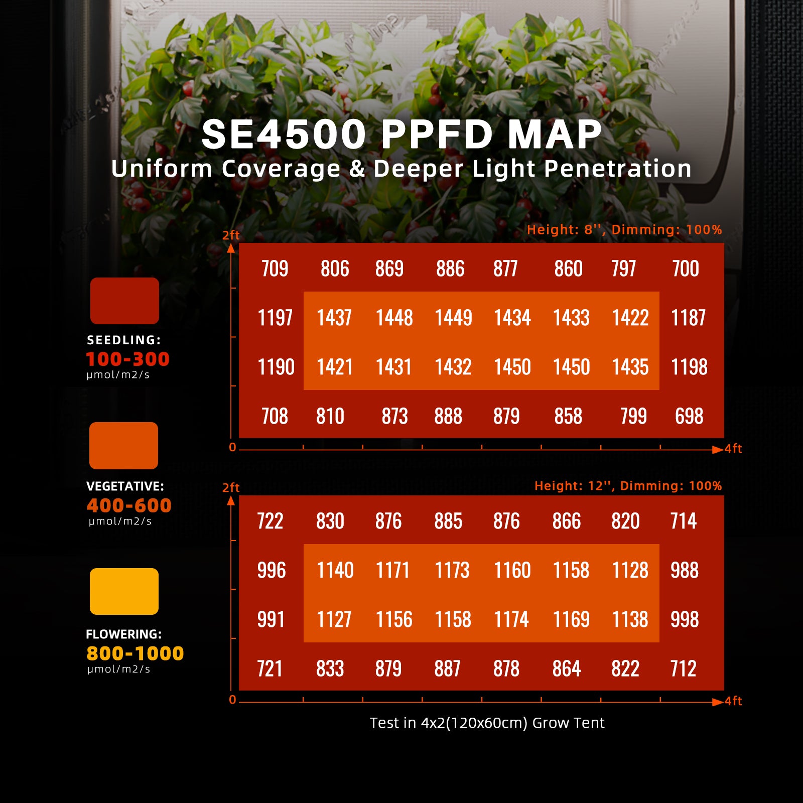 PPFD-Map der SE4500 zeigt die gleichmäßige Lichtverteilung auf 140x70 cm.
