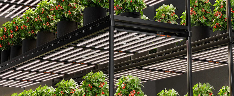 Spider Farmer SE1000W Smart LED | 1000W