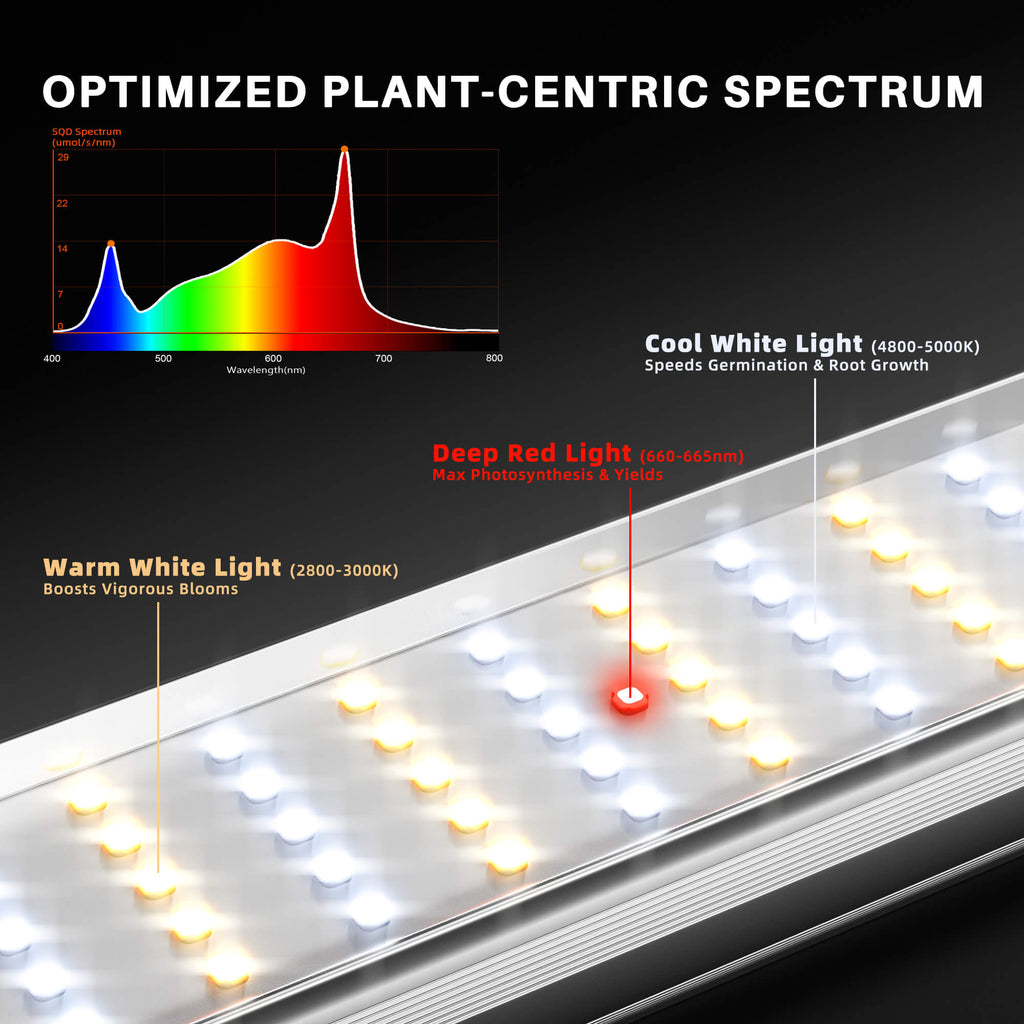 Spider Farmer SE1000W smart LED grow light, 1000W Bridgelux with cold white and deep red spectrum