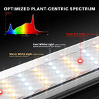 Spider Farmer SE4500 Smart LED | 320W