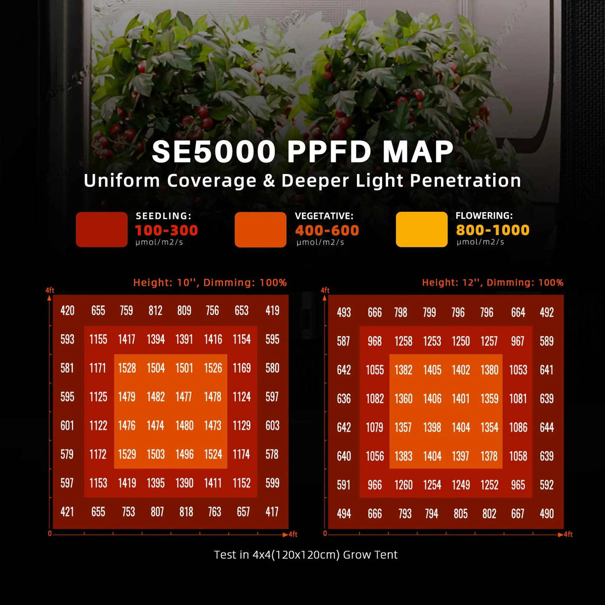 Spider Farmer SE5000 Smart LED | 480W