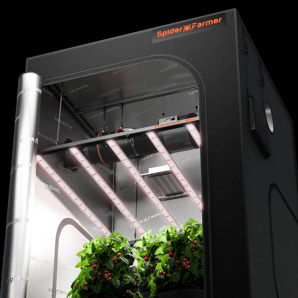 Installierte SE7000 730W in einem 150x150 cm Growzelt.