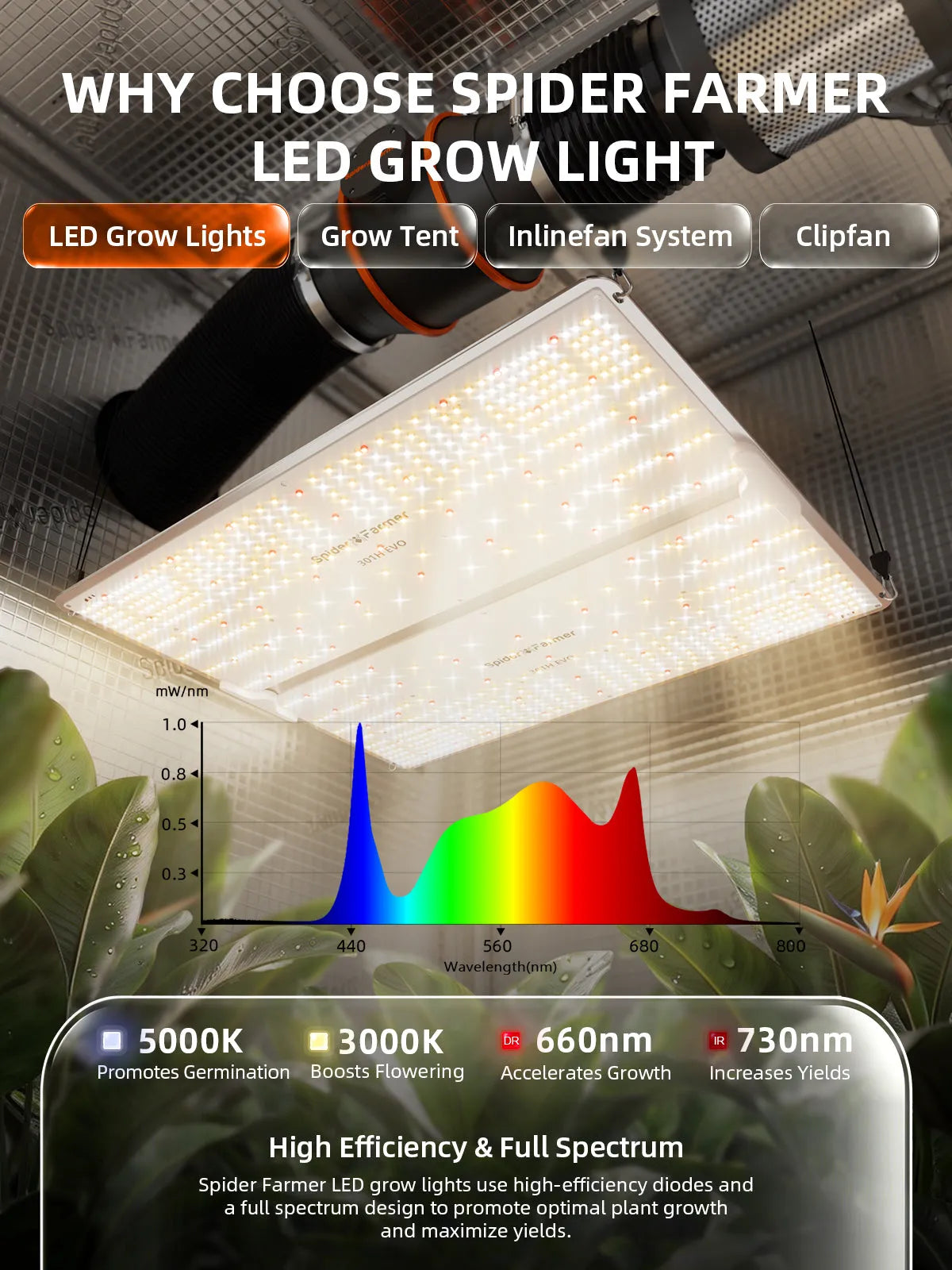 Spider Farmer SF4000 grow tent complete set in silver with LED grow light glowing inside