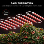 Daisy-Chain-Verbindung-GlowR40-Serie-bis-zu-32-Einheiten.