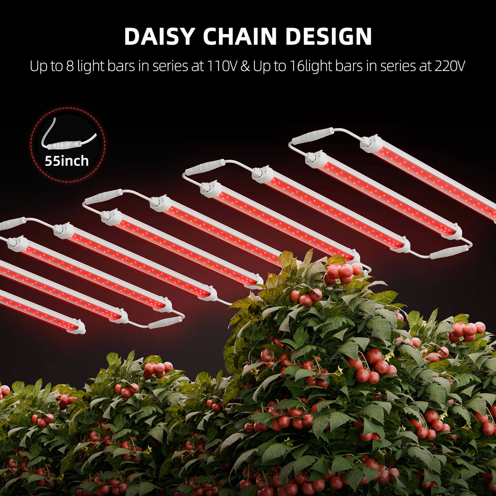 Daisy-Chain-Verbindung-GlowR80-System-bis-zu-16-Bars.