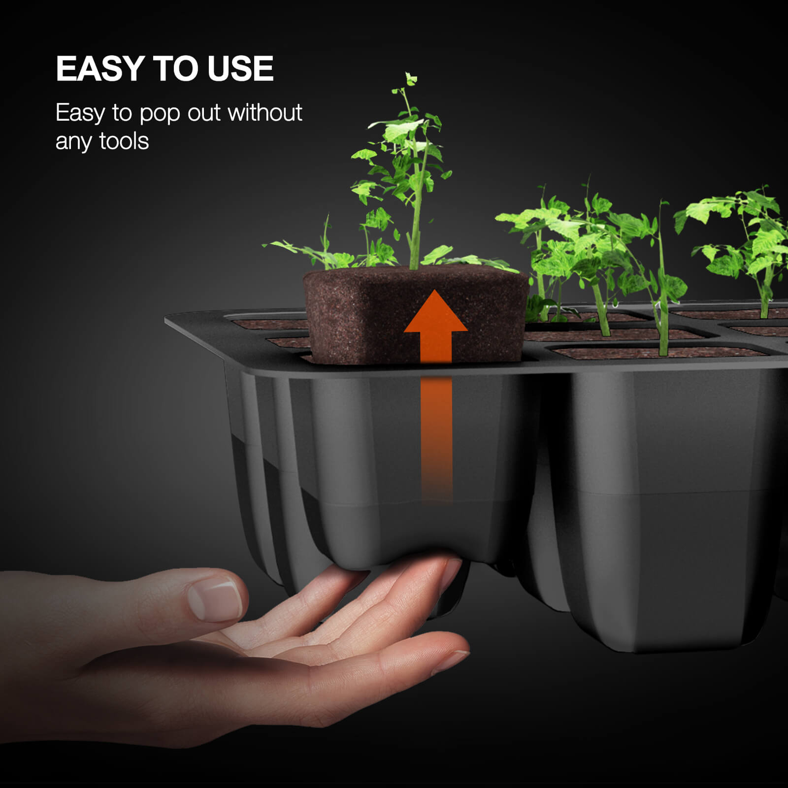 Seed Starter Kit im Einsatz für Kräuter und Nutzpflanzen – Optimale Bedingungen für den erfolgreichen Start vom Samen bis zum ersten echten Blattpaar.