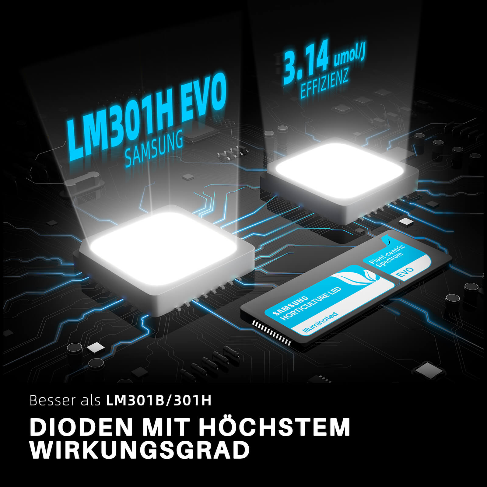 Detailaufnahme der Samsung LM301H EVO Dioden auf der SF1000 100W Platine.