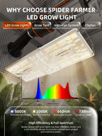 Spider Farmer SF2000 Komplettset 120x60x180cm grow tent with LED panel grow light, full spectrum diagram