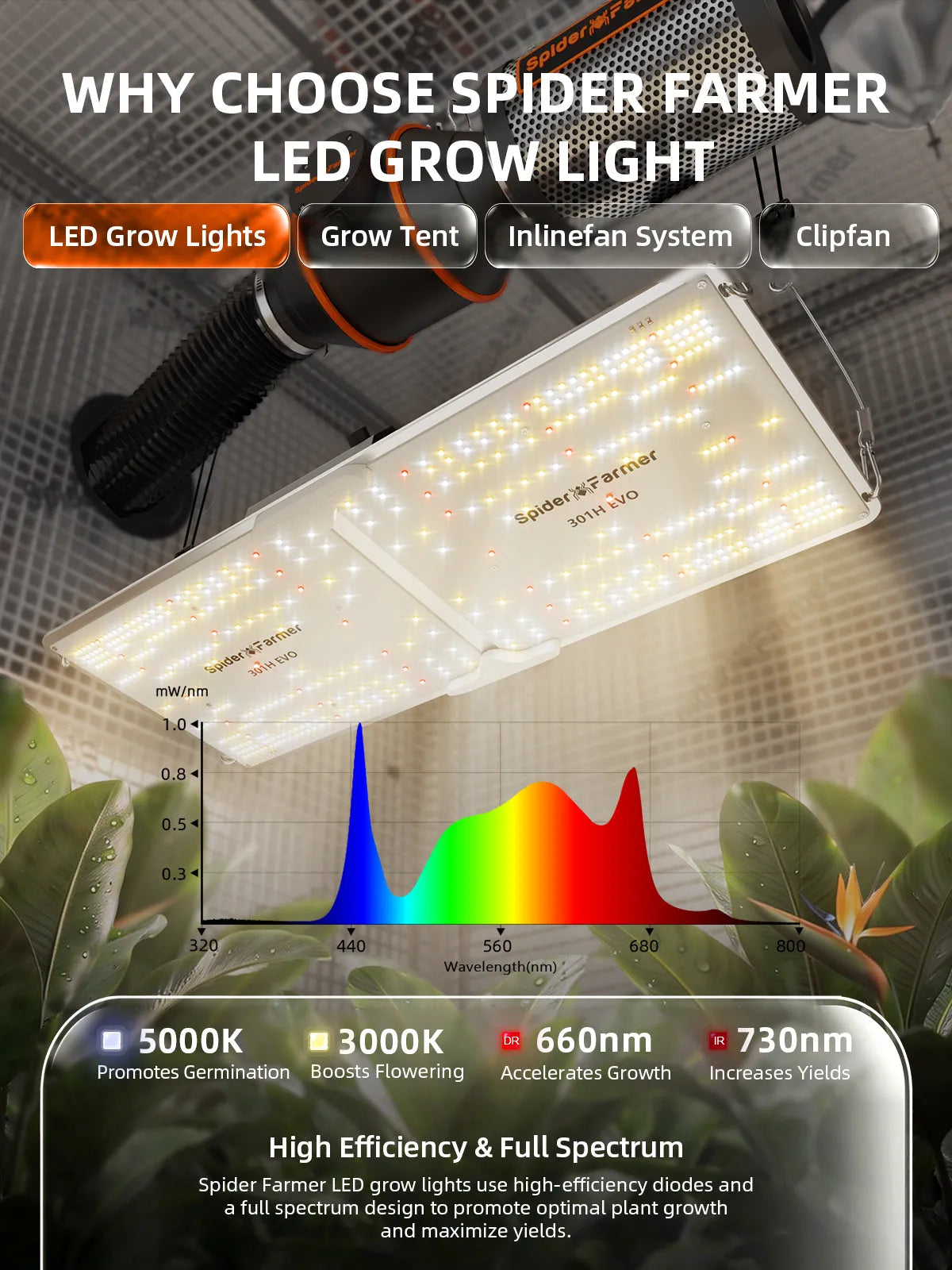 Spider Farmer SF2000 Komplettset 120x60x180cm grow tent with LED panel grow light, full spectrum diagram