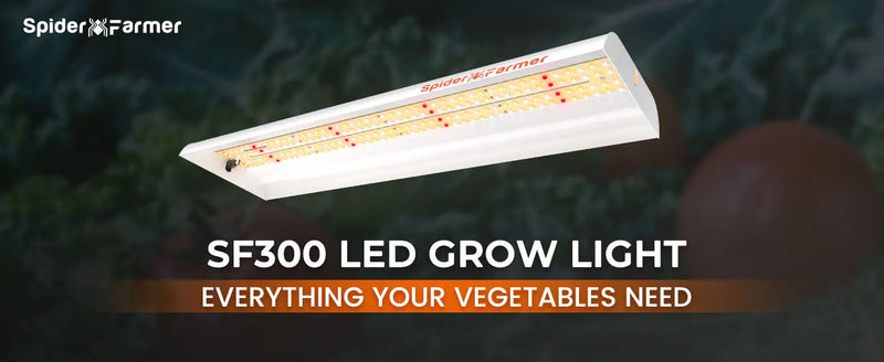 Spider Farmer SF300 LED | 33W