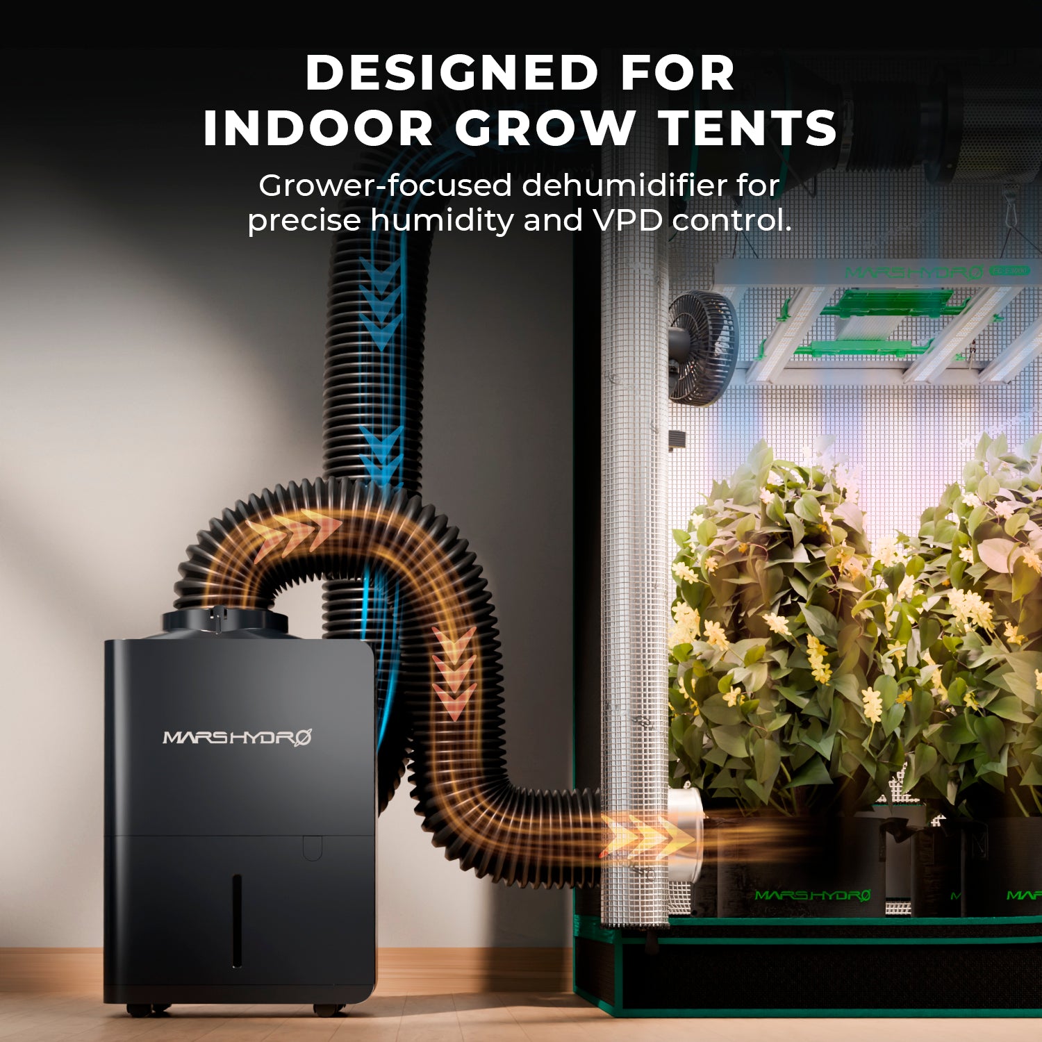 Mars Hydro 12L Entfeuchter im Einsatz in einem 1,50m Growzelt – Platzsparendes Design kombiniert mit hocheffizienter Entfeuchtungsleistung für maximale Erträge.