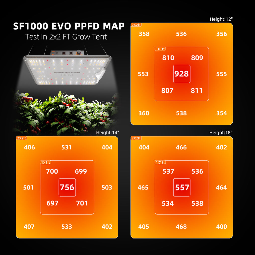 PPFD: PPFD-Map Diagramm zur Veranschaulichung der Lichtintensität auf 70x70cm Fläche.