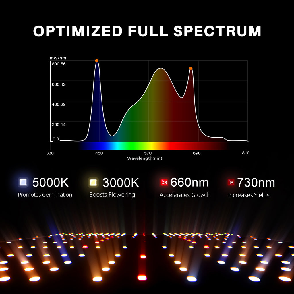 Spider Farmer SF2000-EVO Smart grow tent set featuring optimized full spectrum LED lighting for enhanced plant growth