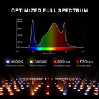 Spider Farmer SF2000-EVO Smart grow tent set featuring optimized full spectrum LED lighting for enhanced plant growth