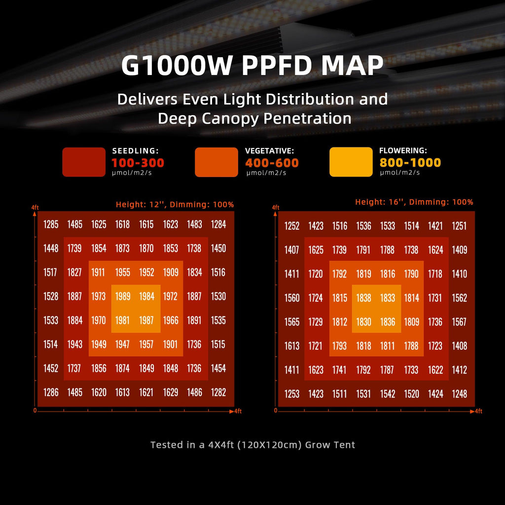 PPFD-Map der Spider Farmer G1000W für gleichmäßige Lichtverteilung
