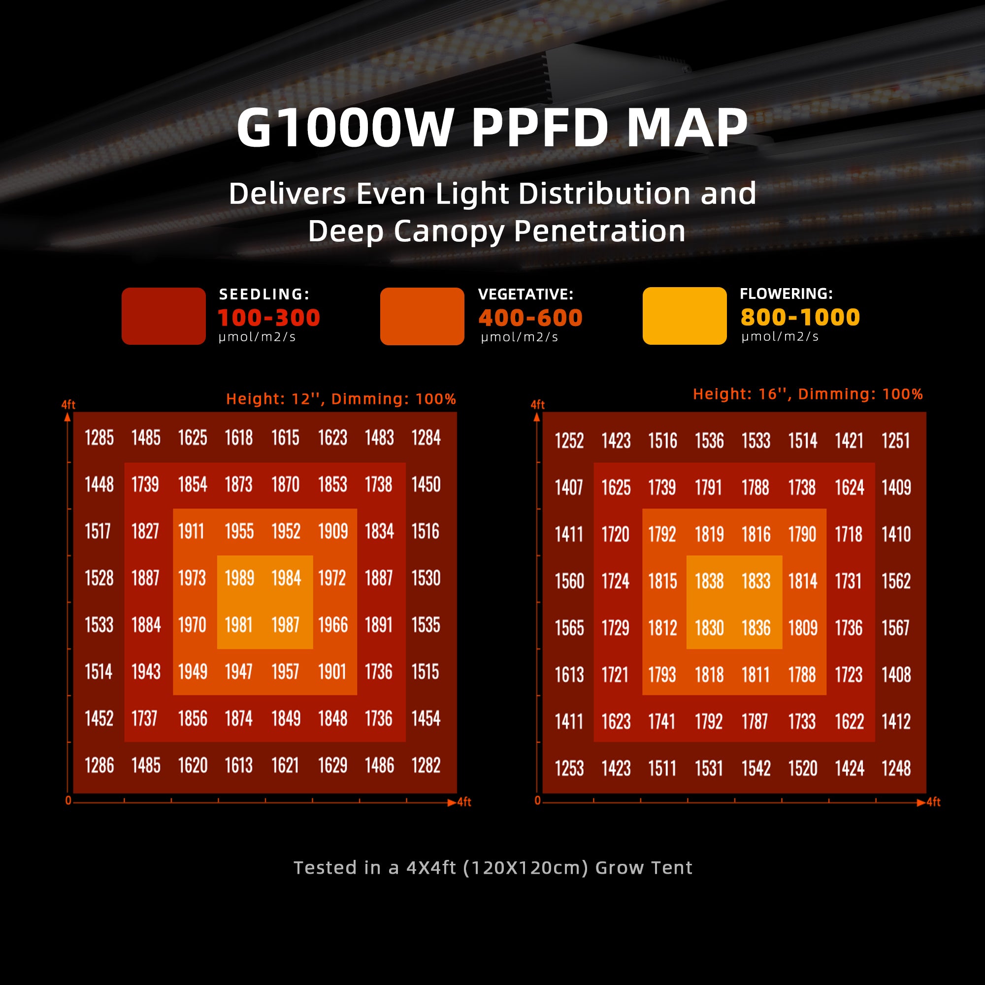 PPFD-Map der Spider Farmer G1000W für gleichmäßige Lichtverteilung