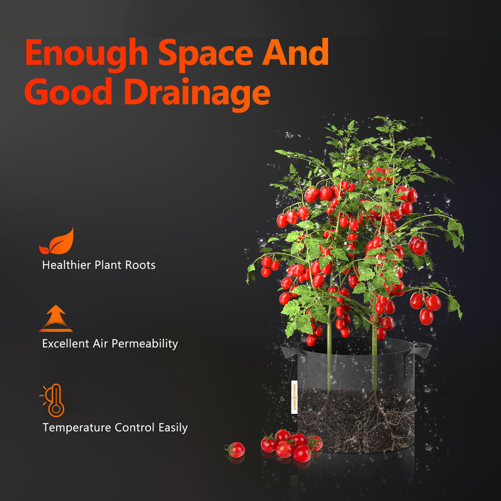 Air-Pruning Illustration: Ansicht eines gesunden Wurzelsystems im Stoff-Pflanzsack.