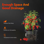 Air-Pruning Illustration: Ansicht eines gesunden Wurzelsystems im Stoff-Pflanzsack.