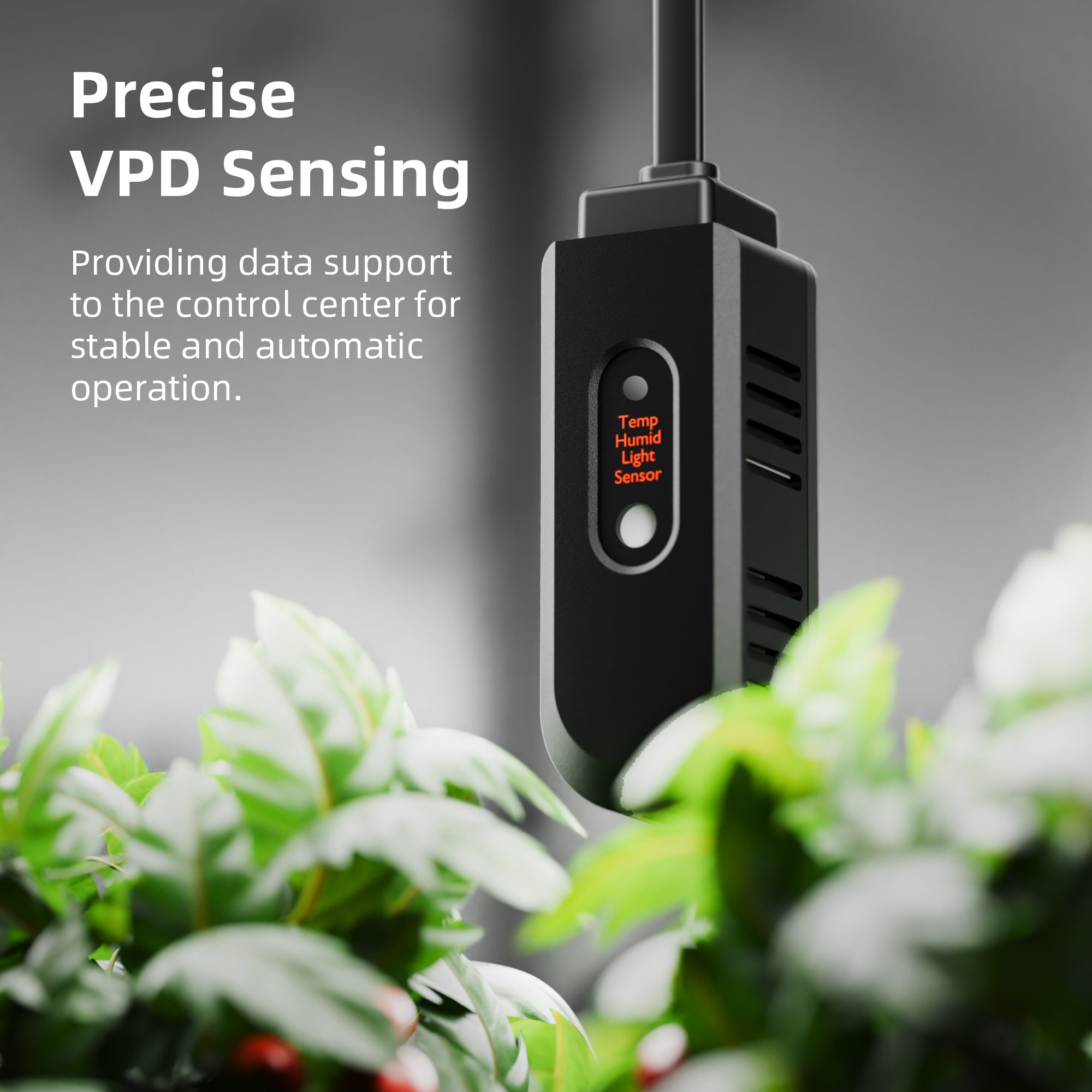 GGS Klimasensor zur Überwachung von Temperatur, Luftfeuchtigkeit und VPD – Mit integriertem Lichtsensor zur automatischen Erkennung von Tag- und Nachtphasen.