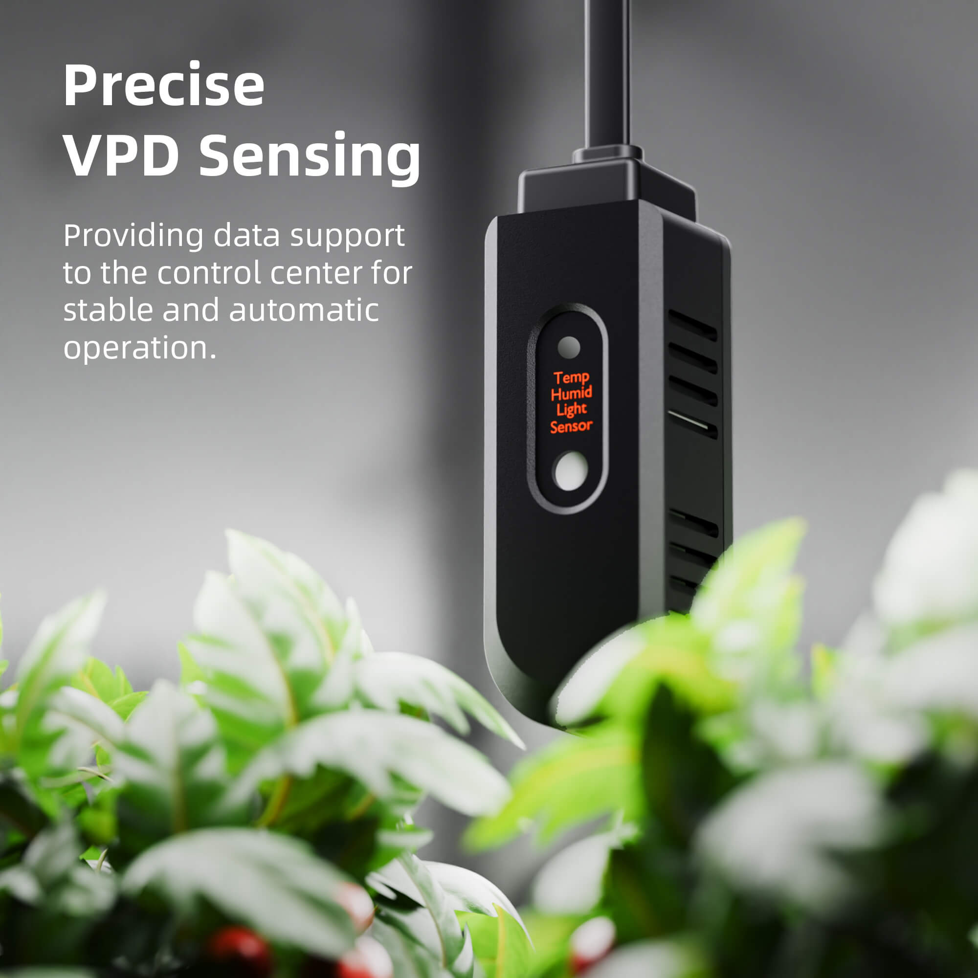 Spider Farmer SF2000-EVO Smart Complete Kit | 120x60x180cm Grow Tent