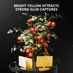 Spider Farmer 9-in-1 toolkit featuring bright yellow pest traps among vibrant red tomatoes — an essential solution for effective germination.
