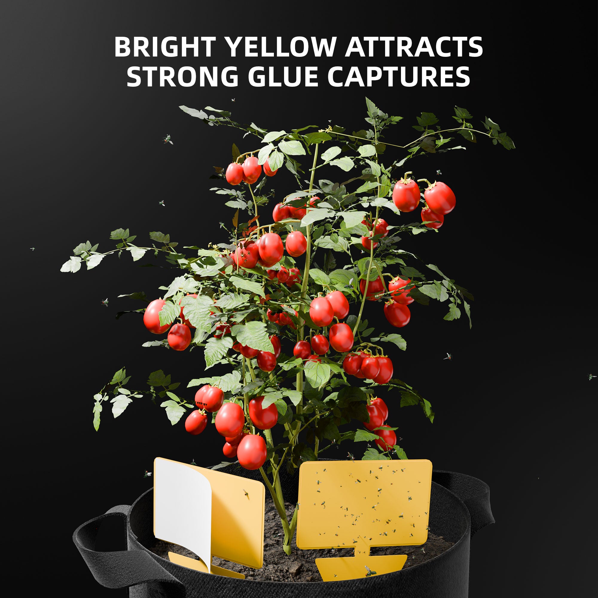 Spider Farmer 9-in-1 toolkit featuring bright yellow pest traps among vibrant red tomatoes — an essential solution for effective germination.