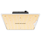 Spider Farmer SF1000D 100W LED Grow Light Frontansicht der 2026 Version.