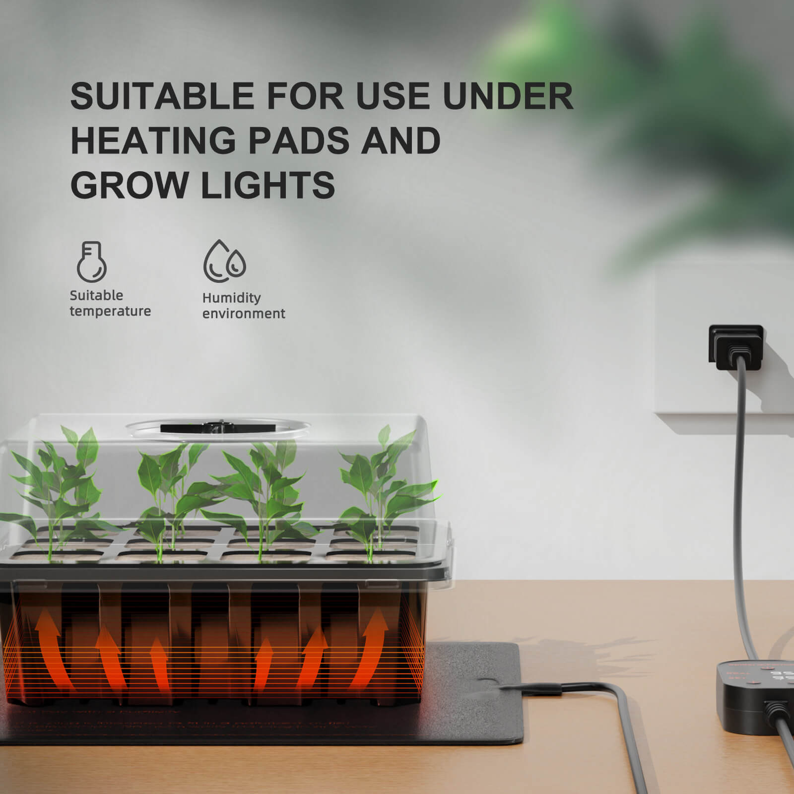 Seed Starter Trays auf einer Heizmatte platziert – Die ideale Kombination zur Optimierung der Bodentemperatur für anspruchsvolles Saatgut.